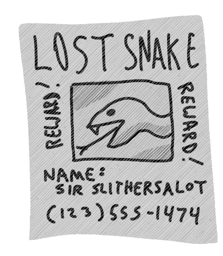 1-lost-snake.png